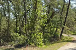 Tbd Fisher Ct, Ocklawaha, FL 32179 - Photo 1