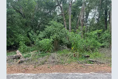 3638 E Lee Drive, Inverness, FL 34453 - Photo 2