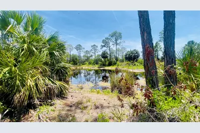 Tbd SW 101st Ln, Cedar Key, FL 32625 - Photo 6