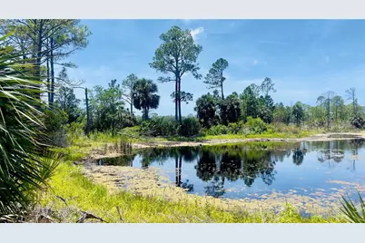 Tbd SW 101st Ln, Cedar Key, FL 32625 - Photo 4