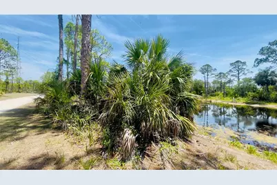Tbd SW 101st Ln, Cedar Key, FL 32625 - Photo 8
