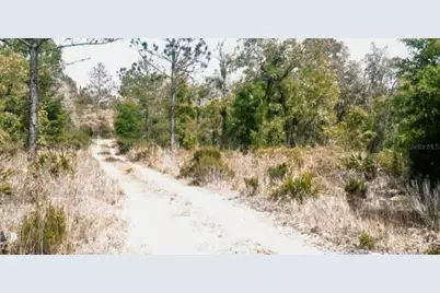 Ne 61st Lane, Williston, FL 32696 - Photo 2