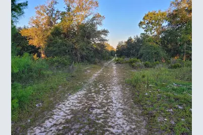 Ne 61st Lane, Williston, FL 32696 - Photo 1
