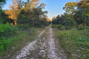 NE 61st Ln, Williston, FL 32696 - Photo 1
