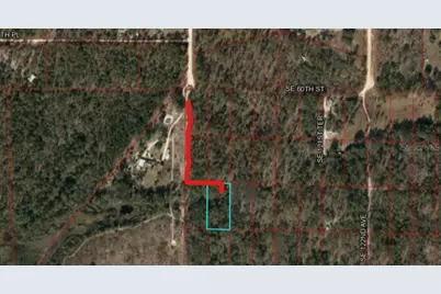 Se 60 Street, Morriston, FL 32668 - Photo 4