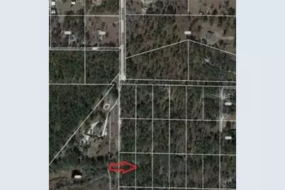 Se 60 Street, Morriston, FL 32668 - Photo 2
