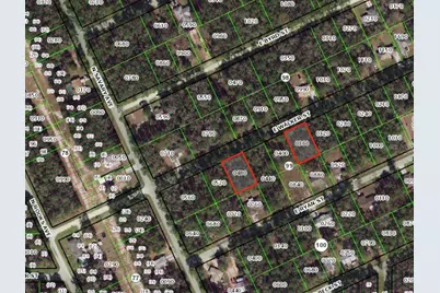 3676 & 3718 E Walker Street, Inverness, FL 34453 - Photo 1