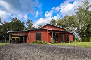 8031 NW 172nd Ln, Fanning Springs, FL 32693 - Photo 4