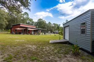 8031 NW 172nd Ln, Fanning Springs, FL 32693 - Photo 10