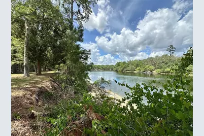 3019 NE 709th Avenue, Old Town, FL 32680 - Photo 2