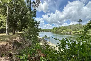 3019 NE 709th Ave, Old Town, FL 32680 - Photo 2