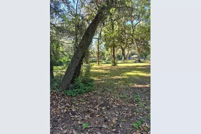 16615 NE 45th Court, Citra, FL 32113 - Photo 4