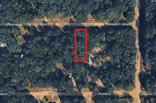 000 Jernigan St, Interlachen, FL 32148 - Photo 1