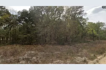 000 Jernigan Street, Interlachen, FL 32148 - Photo 4