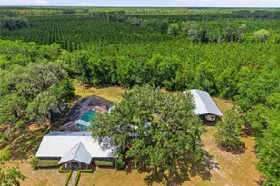 7851 SW County Road 796, Lake Butler, FL 32054 - Photo 66