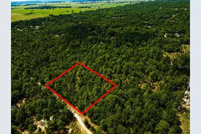 Tbd SW 93rd Place, Dunnellon, FL 34432 - Photo 8