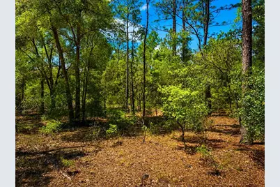 Tbd SW 93rd Place, Dunnellon, FL 34432 - Photo 2