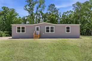672 SW Newark Dr, Fort White, FL 32038 - Photo 4