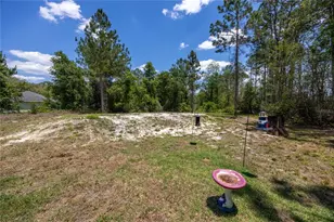 9025 SE Co Rd 221, Hampton, FL 32044 - Photo 22