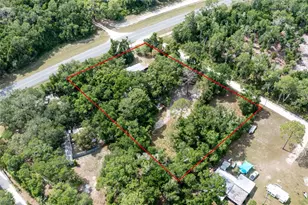 9580 NE Hwy 351, Old Town, FL 32680 - Photo 4
