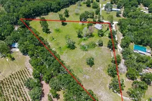 289 SW Puritan Pl, Lake City, FL 32024 - Photo 4