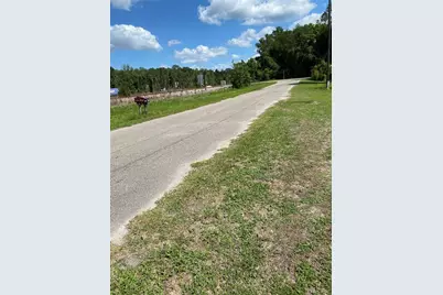 1232 NE 191st Terrace, Hawthorne, FL 32640 - Photo 2