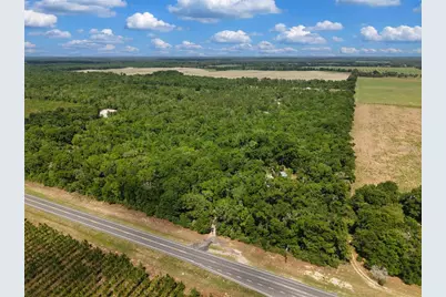Lot 3 N State Rd 129, Branford, FL 32008 - Photo 4