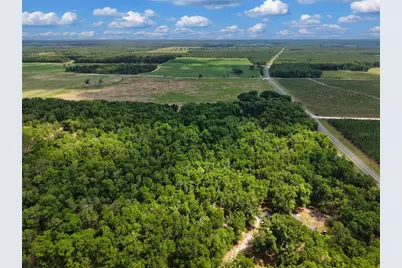 Lot 3 N State Rd 129, Branford, FL 32008 - Photo 8