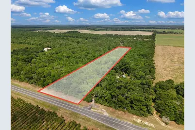 Lot 3 N State Rd 129, Branford, FL 32008 - Photo 2