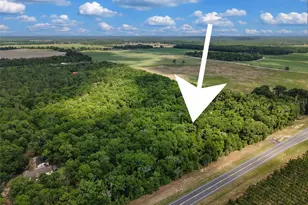Lot 3 N State Rd 129, Branford, FL 32008 - Photo 1