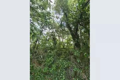 8748 NE Jacksonville Road, Anthony, FL 32617 - Photo 1