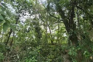 8748 NE Jacksonville Rd, Anthony, FL 32617 - Photo 1
