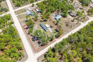 191 NE 136 Ct, Williston, FL 32696 - Photo 30