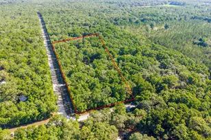 13291 NW 86th Ave, Chiefland, FL 32626 - Photo 42