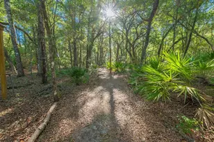 13291 NW 86th Ave, Chiefland, FL 32626 - Photo 40