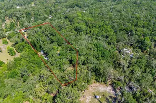 343 NE 743rd St, Old Town, FL 32680 - Photo 42