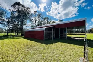 10 SW 50th Ave, Bell, FL 32619 - Photo 10