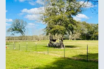 10 SW 50th Avenue, Bell, FL 32619 - Photo 40