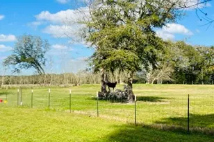 10 SW 50th Ave, Bell, FL 32619 - Photo 40