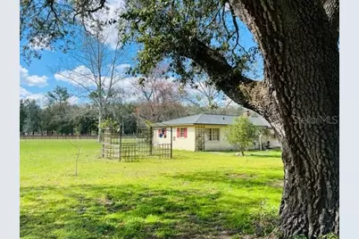10 SW 50th Avenue, Bell, FL 32619 - Photo 4