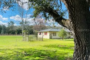 10 SW 50th Ave, Bell, FL 32619 - Photo 4