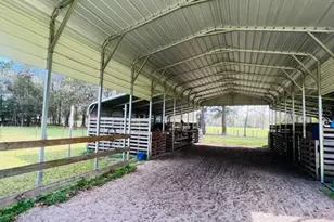10 SW 50th Ave, Bell, FL 32619 - Photo 12