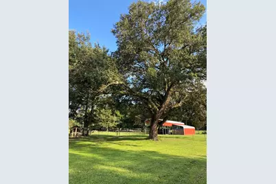10 SW 50th Avenue, Bell, FL 32619 - Photo 14