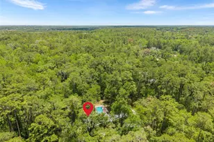 4703 NW 124th St, Gainesville, FL 32606 - Photo 54