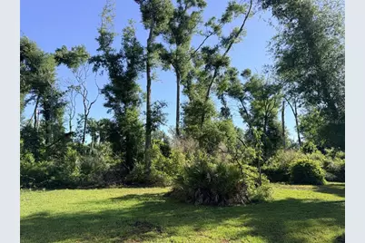 794 NE 521 Street, Old Town, FL 32680 - Photo 16