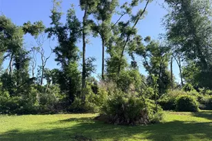 794 NE 521st St, Old Town, FL 32680 - Photo 16