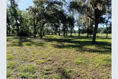 794 NE 521 Street, Old Town, FL 32680 - Photo 2