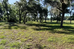 794 NE 521st St, Old Town, FL 32680 - Photo 2