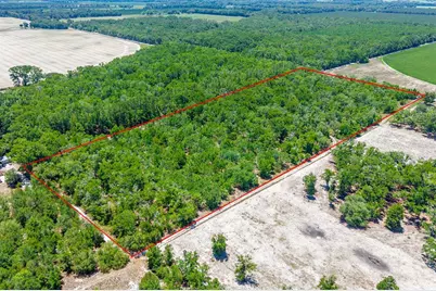 Tbd NW 40 Avenue, Bell, FL 32619 - Photo 4