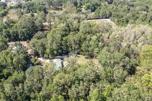 17824 NE 143rd Terrace, Waldo, FL 32694 - Photo 6